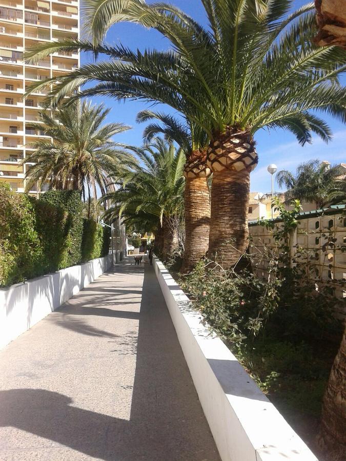 Apartamento Puigval Exterior foto